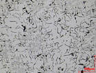 Grauguss mit Lamellengraphit